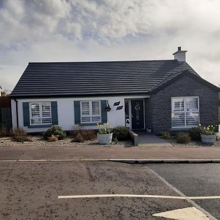 Number 14 Bed & Breakfast Downpatrick Exterior photo