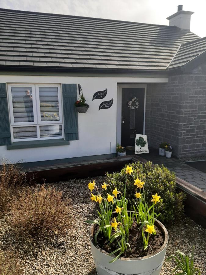 Number 14 Bed & Breakfast Downpatrick Exterior photo