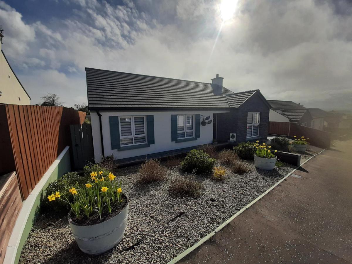 Number 14 Bed & Breakfast Downpatrick Exterior photo